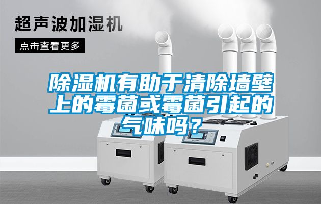除濕機有助于清除墻壁上的霉菌或霉菌引起的氣味嗎？