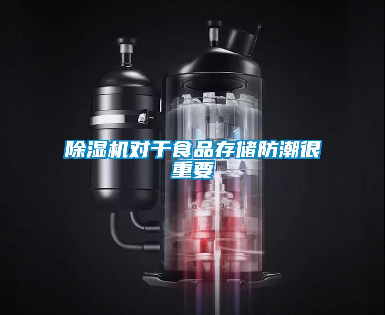除濕機(jī)對于食品存儲防潮很重要
