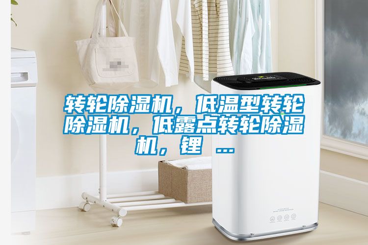 轉(zhuǎn)輪除濕機，低溫型轉(zhuǎn)輪除濕機，低露點轉(zhuǎn)輪除濕機，鋰 ...