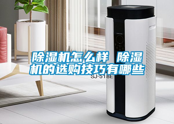 除濕機(jī)怎么樣 除濕機(jī)的選購技巧有哪些