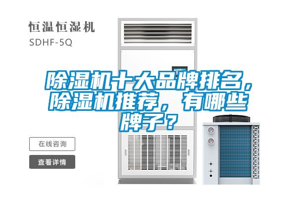 除濕機十大品牌排名，除濕機推薦，有哪些牌子？