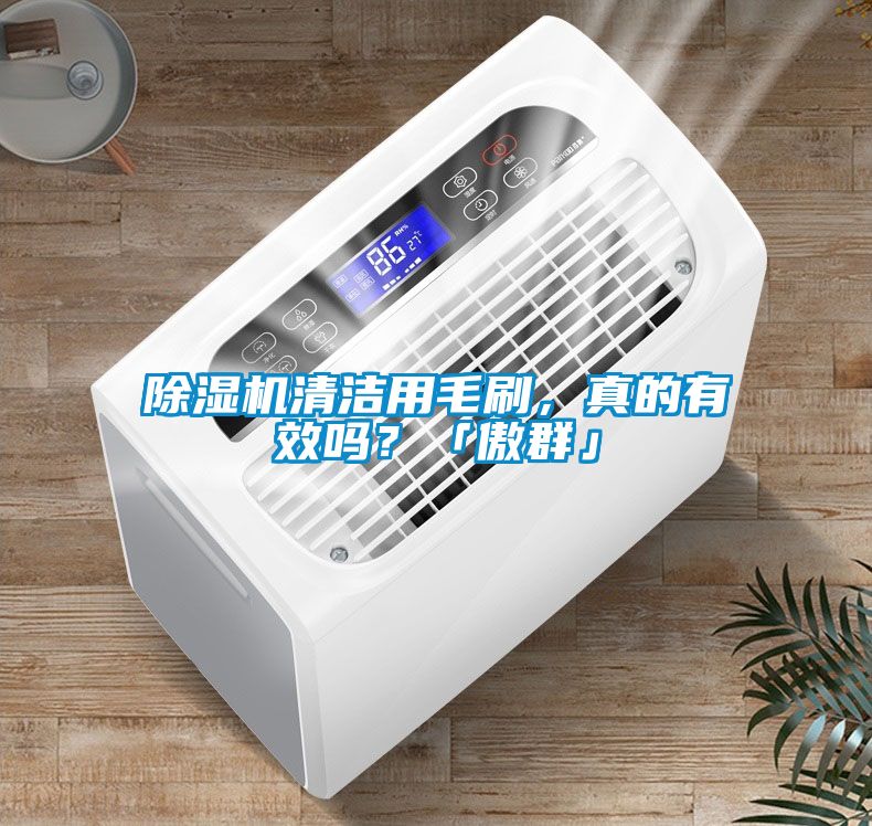 除濕機清潔用毛刷，真的有效嗎？「傲群」