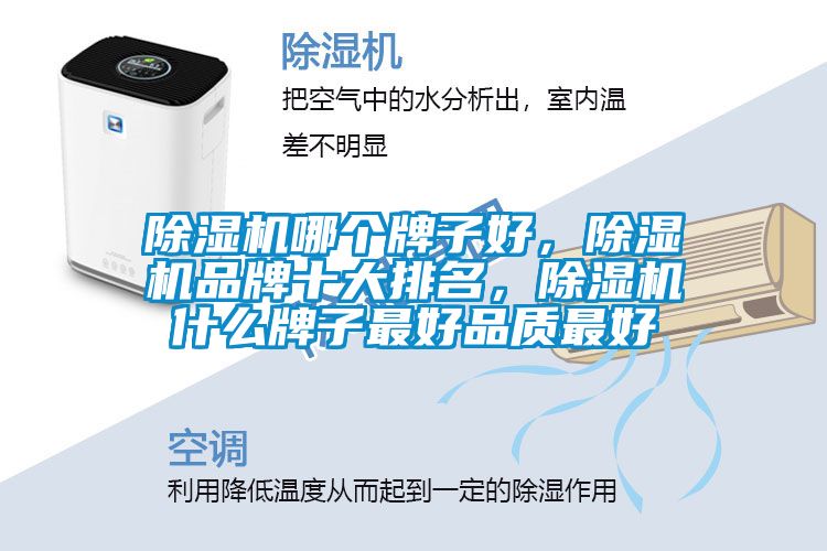 除濕機(jī)哪個(gè)牌子好，除濕機(jī)品牌十大排名，除濕機(jī)什么牌子最好品質(zhì)最好