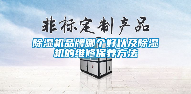 除濕機(jī)品牌哪個好以及除濕機(jī)的維修保養(yǎng)方法