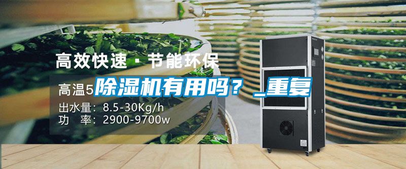 除濕機(jī)有用嗎？_重復(fù)