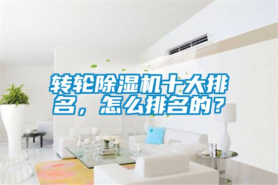 轉(zhuǎn)輪除濕機(jī)十大排名，怎么排名的？