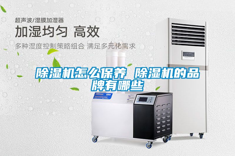 除濕機怎么保養 除濕機的品牌有哪些