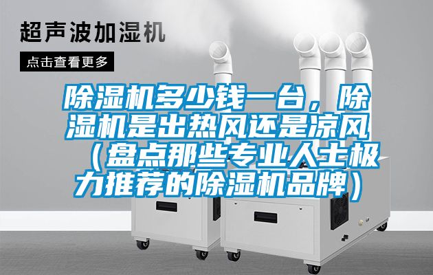 除濕機多少錢一臺，除濕機是出熱風還是涼風（盤點那些專業人士極力推薦的除濕機品牌）