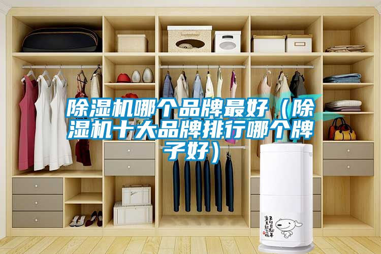除濕機哪個品牌最好（除濕機十大品牌排行哪個牌子好）