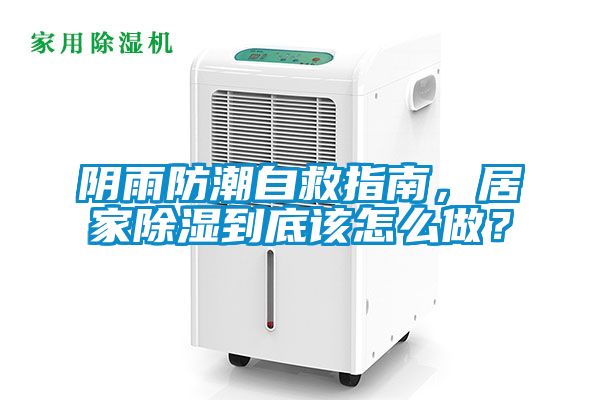 陰雨防潮自救指南，居家除濕到底該怎么做？