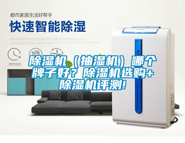 除濕機（抽濕機）哪個牌子好？除濕機選購+除濕機評測!
