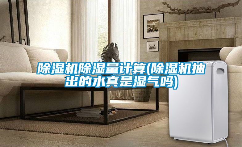 除濕機除濕量計算(除濕機抽出的水真是濕氣嗎)