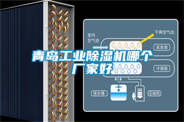 青島工業(yè)除濕機(jī)哪個廠家好