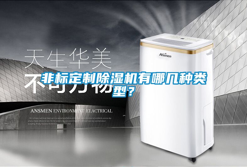 非標定制除濕機有哪幾種類型？