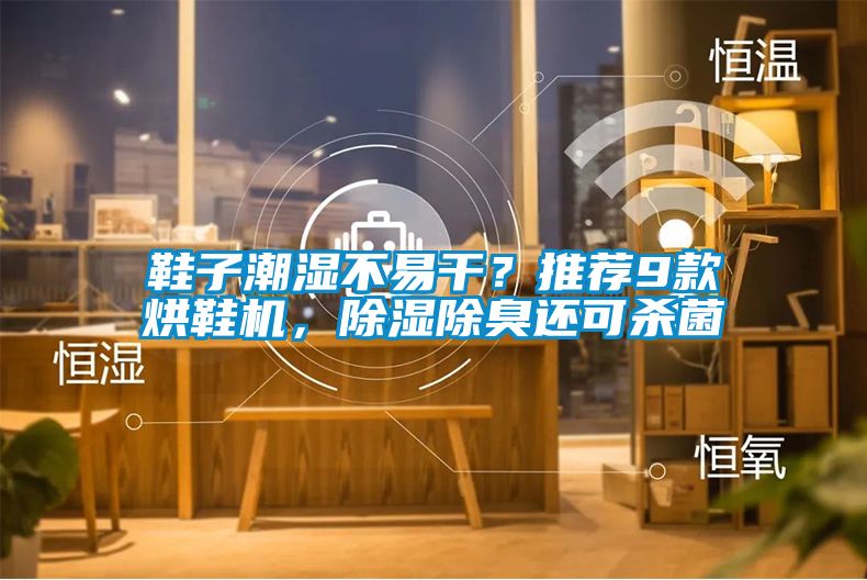 鞋子潮濕不易干？推薦9款烘鞋機，除濕除臭還可殺菌
