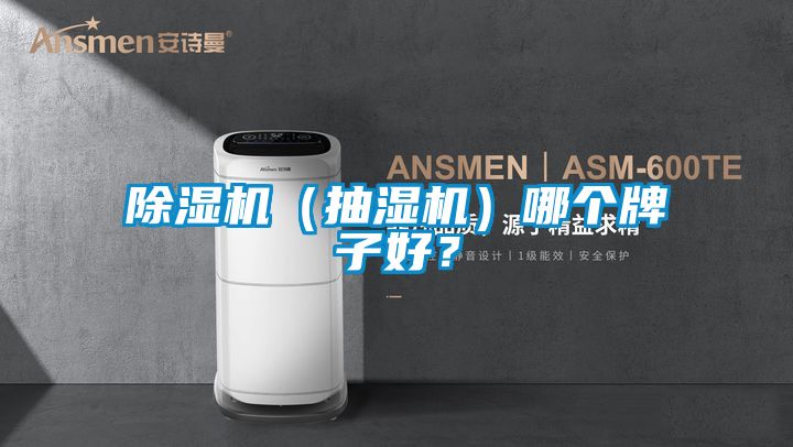 除濕機（抽濕機）哪個牌子好？