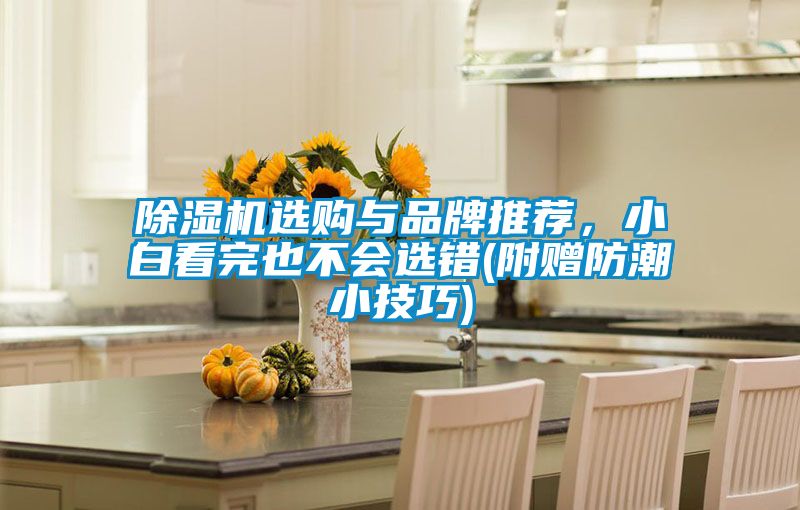 除濕機選購與品牌推薦，小白看完也不會選錯(附贈防潮小技巧)