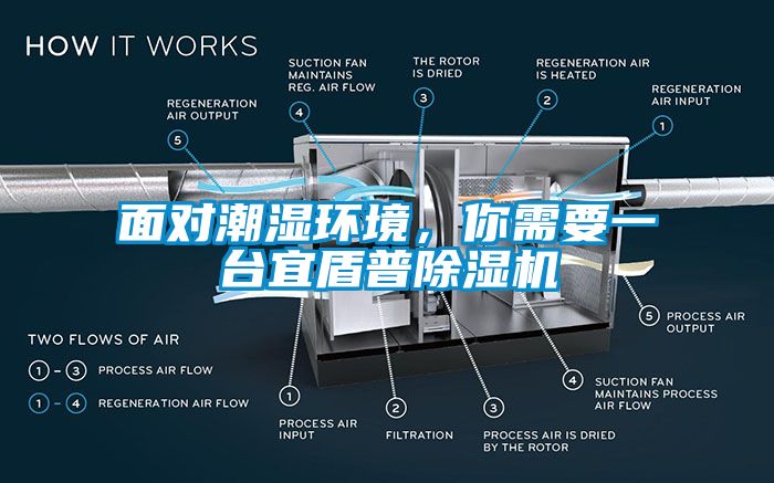 面對潮濕環境，你需要一臺宜盾普除濕機