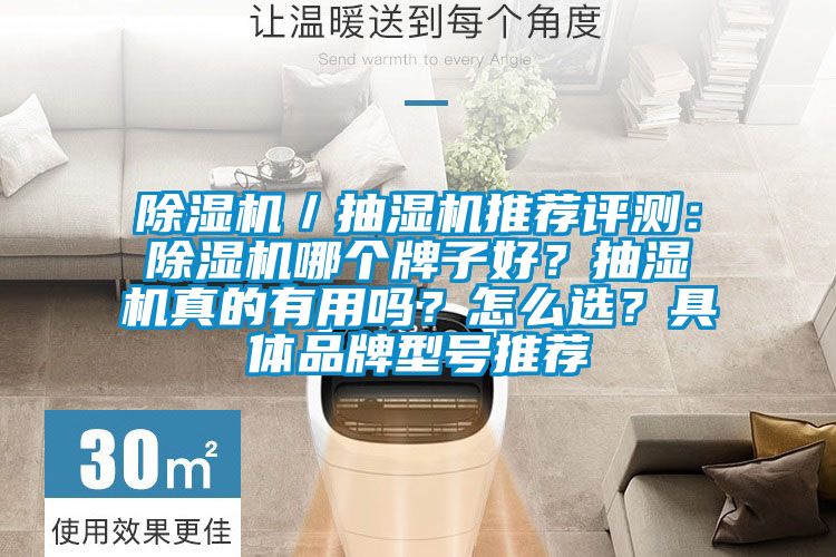 除濕機(jī)／抽濕機(jī)推薦評(píng)測(cè)：除濕機(jī)哪個(gè)牌子好？抽濕機(jī)真的有用嗎？怎么選？具體品牌型號(hào)推薦