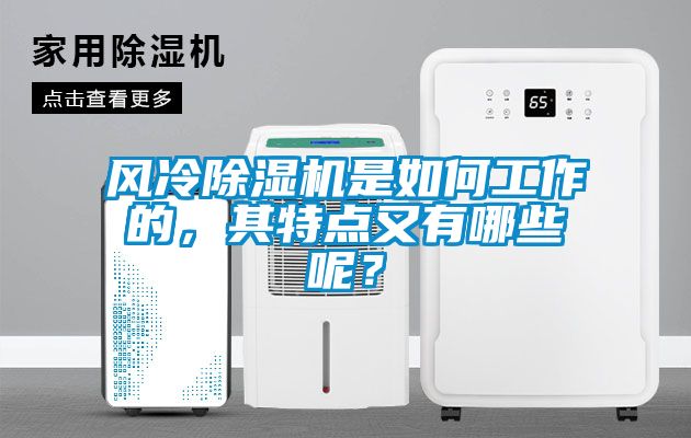 風冷除濕機是如何工作的，其特點又有哪些呢？