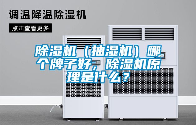 除濕機（抽濕機）哪個牌子好，除濕機原理是什么？