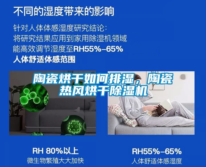陶瓷烘干如何排濕，陶瓷熱風(fēng)烘干除濕機(jī)