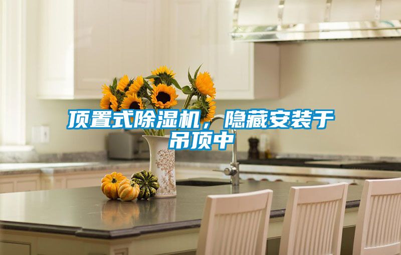 頂置式除濕機，隱藏安裝于吊頂中