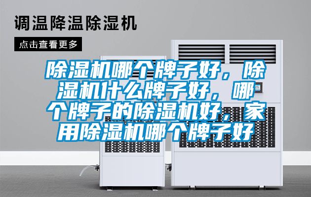 除濕機哪個牌子好，除濕機什么牌子好，哪個牌子的除濕機好，家用除濕機哪個牌子好