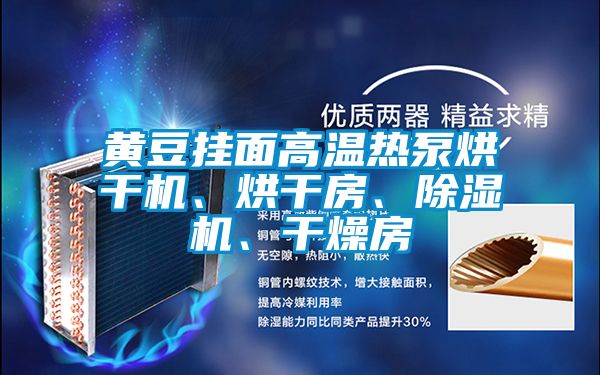 黃豆掛面高溫?zé)岜煤娓蓹C(jī)、烘干房、除濕機(jī)、干燥房