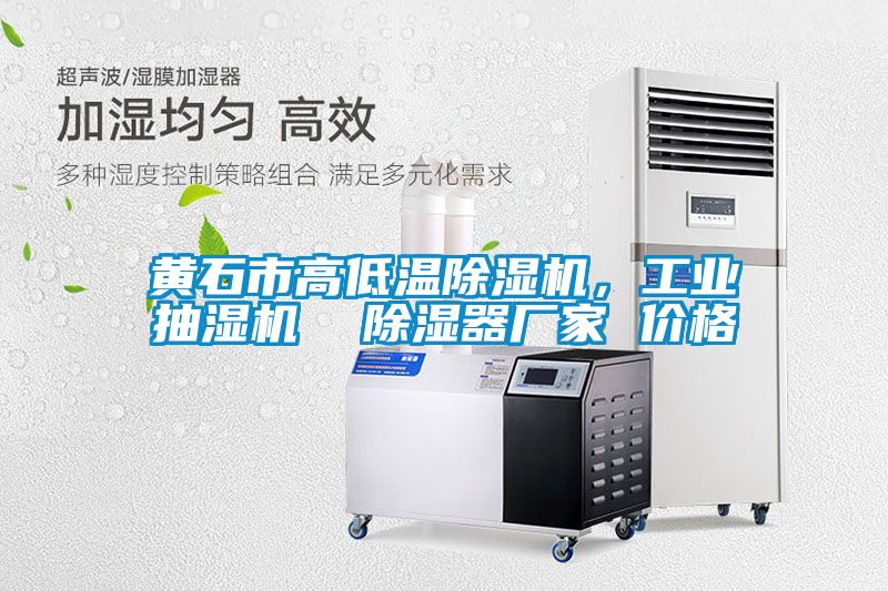 黃石市高低溫除濕機(jī)，工業(yè)抽濕機(jī)  除濕器廠家 價(jià)格