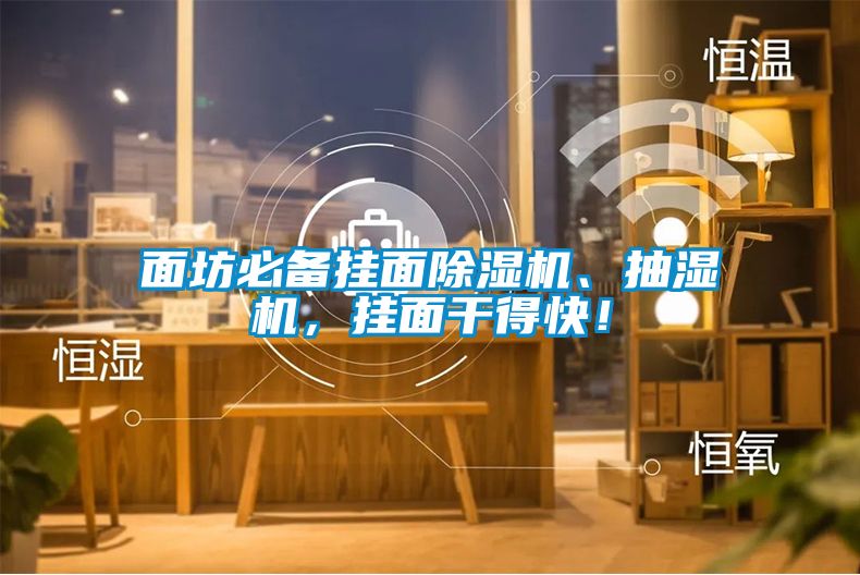 面坊必備掛面除濕機、抽濕機，掛面干得快！