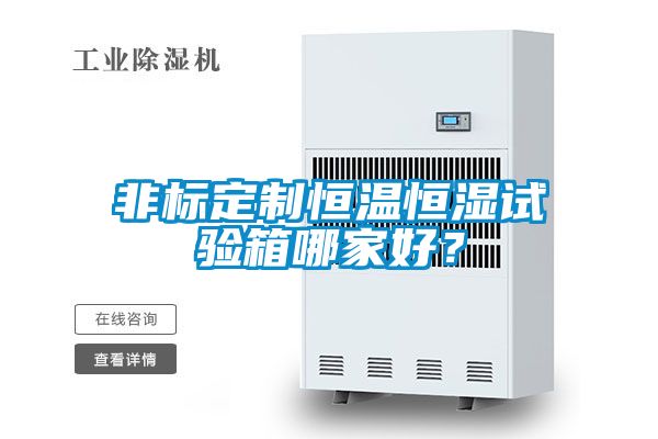 非標定制恒溫恒濕試驗箱哪家好？
