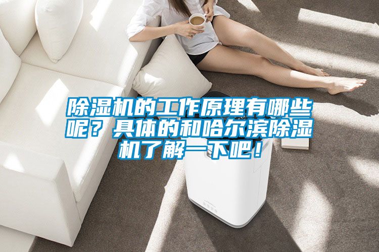 除濕機(jī)的工作原理有哪些呢？具體的和哈爾濱除濕機(jī)了解一下吧！