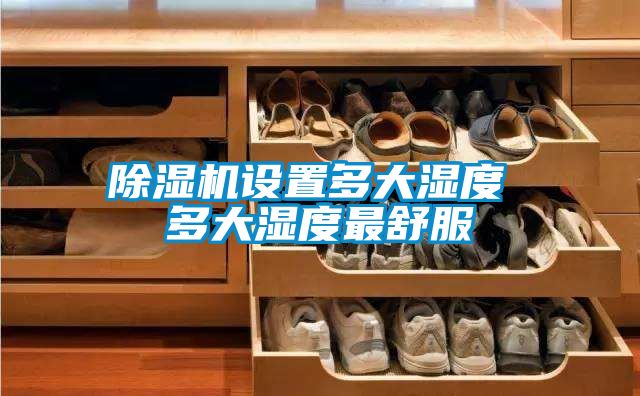 除濕機(jī)設(shè)置多大濕度 多大濕度最舒服