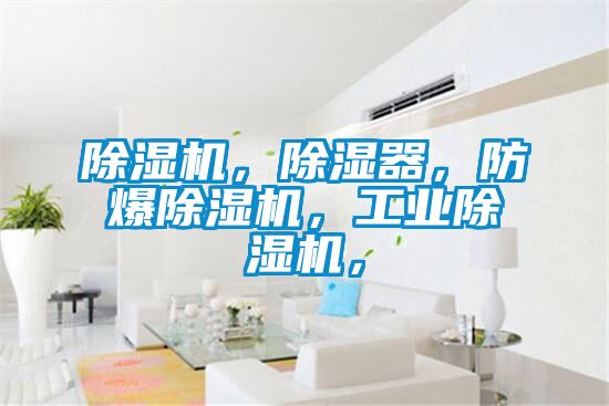 除濕機(jī)，除濕器，防爆除濕機(jī)，工業(yè)除濕機(jī)，
