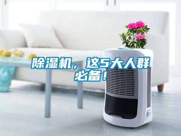 除濕機(jī)，這5大人群必備！