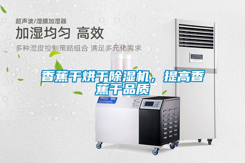 香蕉干烘干除濕機，提高香蕉干品質