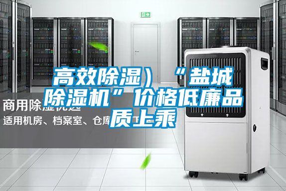 高效除濕）“鹽城除濕機(jī)”價(jià)格低廉品質(zhì)上乘