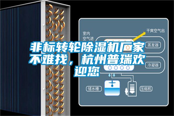 非標轉輪除濕機廠家不難找，杭州普瑞歡迎您