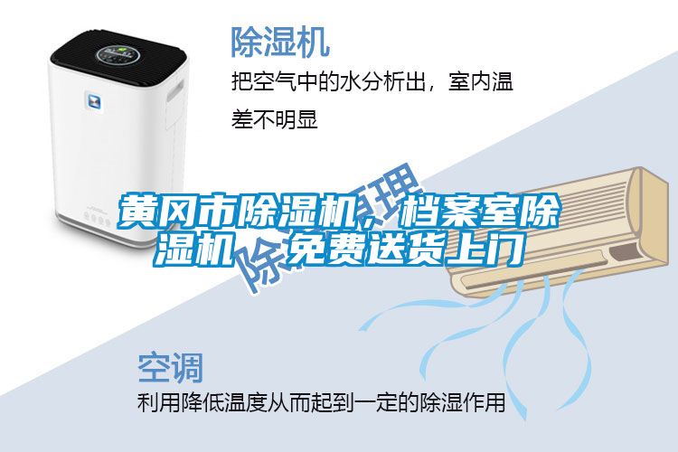 黃岡市除濕機(jī)，檔案室除濕機(jī)  免費(fèi)送貨上門
