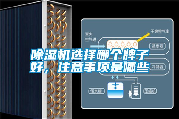 除濕機(jī)選擇哪個牌子好，注意事項(xiàng)是哪些