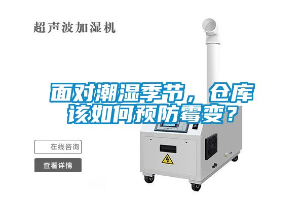 面對潮濕季節，倉庫該如何預防霉變？