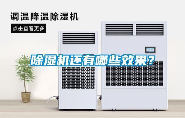除濕機(jī)還有哪些效果？