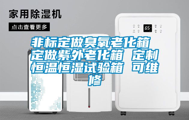 非標定做臭氧老化箱 定做紫外老化箱 定制恒溫恒濕試驗箱 可維修