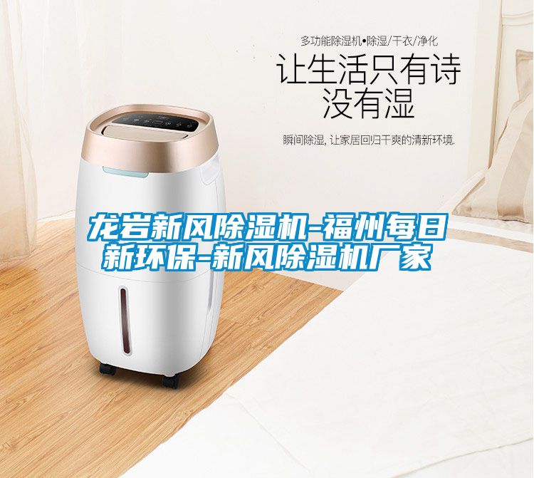 龍巖新風除濕機-福州每日新環(huán)保-新風除濕機廠家