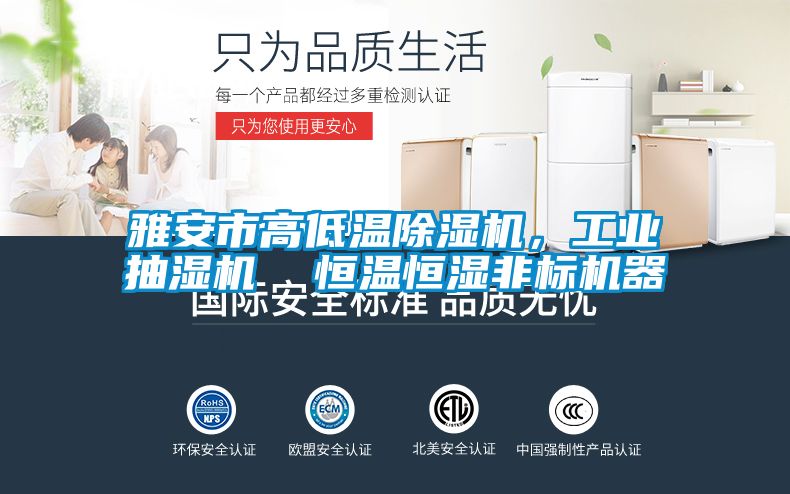 雅安市高低溫除濕機，工業抽濕機  恒溫恒濕非標機器